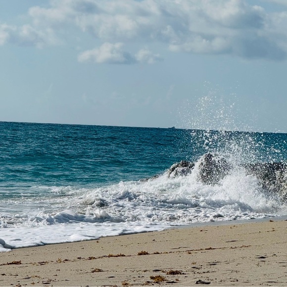 miamidream
